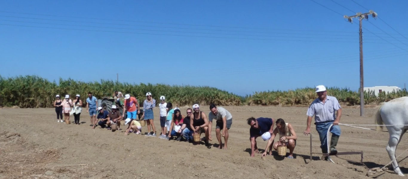 Νάξος: Βρέθηκαν στην γιορτή πατάτας και γεύτηκαν τις τοπικές συνταγές (φωτο)